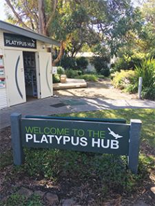 Platypus Hub