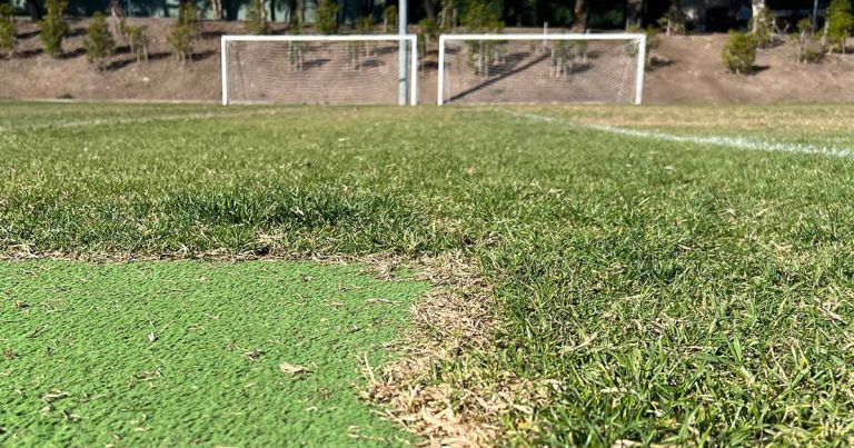 Time to Blow the Whistle on Synthetic “Turf”?