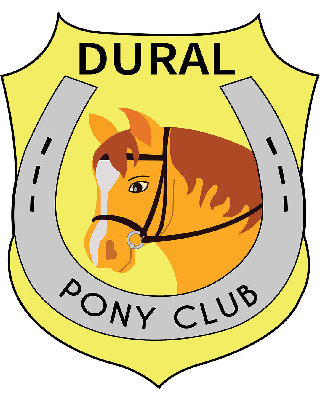 Pony Club turns 60