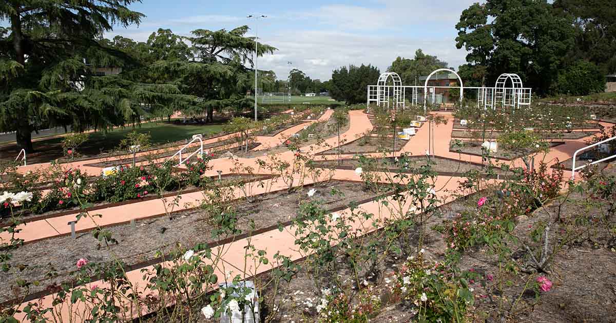 Council Renames Rose Garden in Honour of Queen Elizabeth II