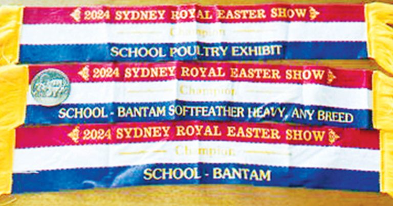Galston High Excellence at the Sydney Royal Easter Show