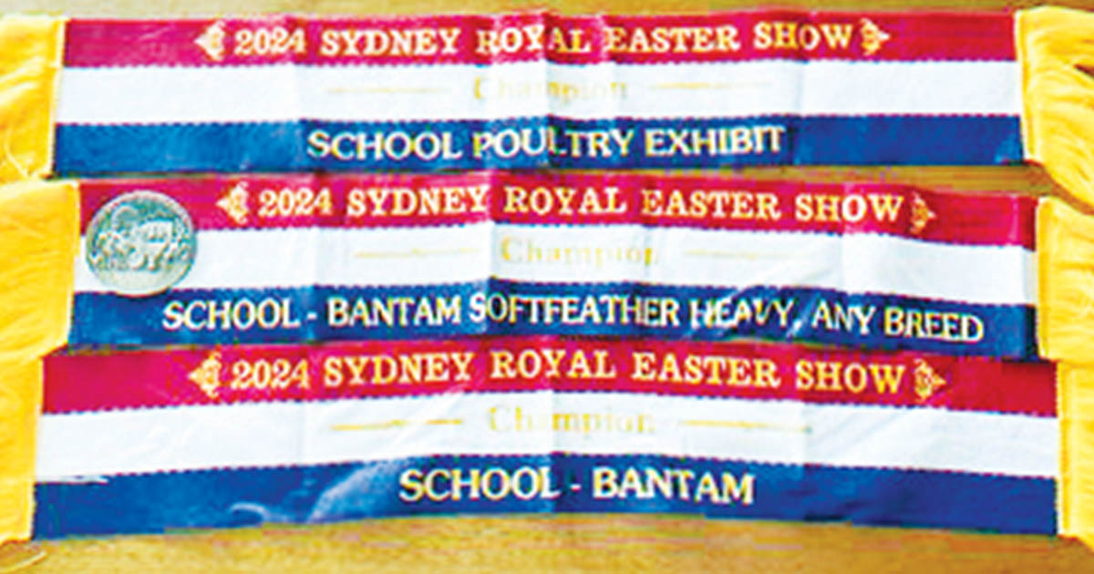 Galston High Excellence at the Sydney Royal Easter Show