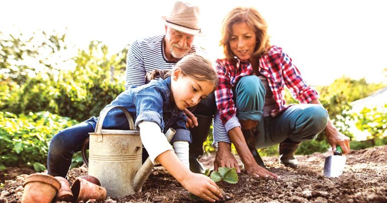 Revitalise Your Garden: Spring Gardening Essentials