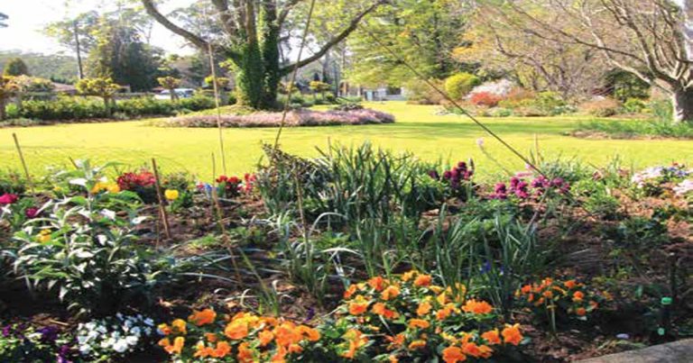 Sydney Hills Garden Competition, Register Now!