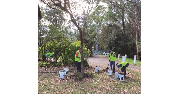 Clean Up Australia