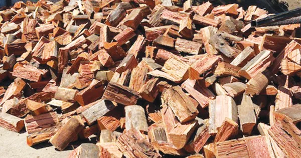 firewood