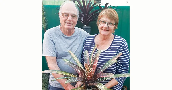 Bromeliad Society of Australia