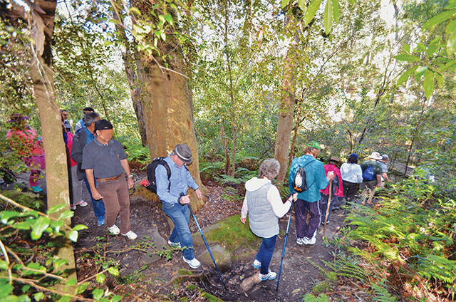 Platypus Track Bidjigal1