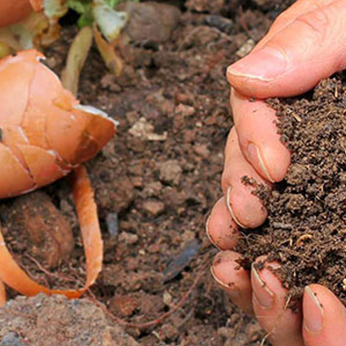 Permaculture Hawkesbury Valley Inc.