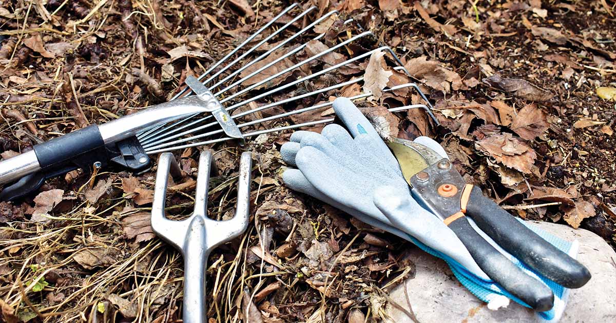 Winter Garden Maintenance at Langlands