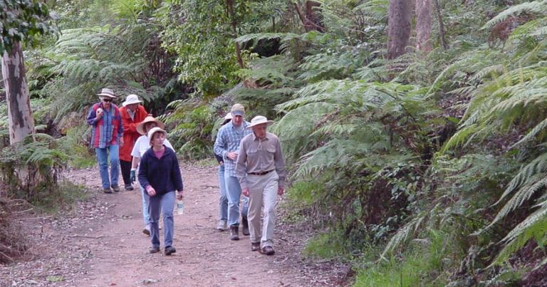 Winter Bushwalking Season Kicks Off