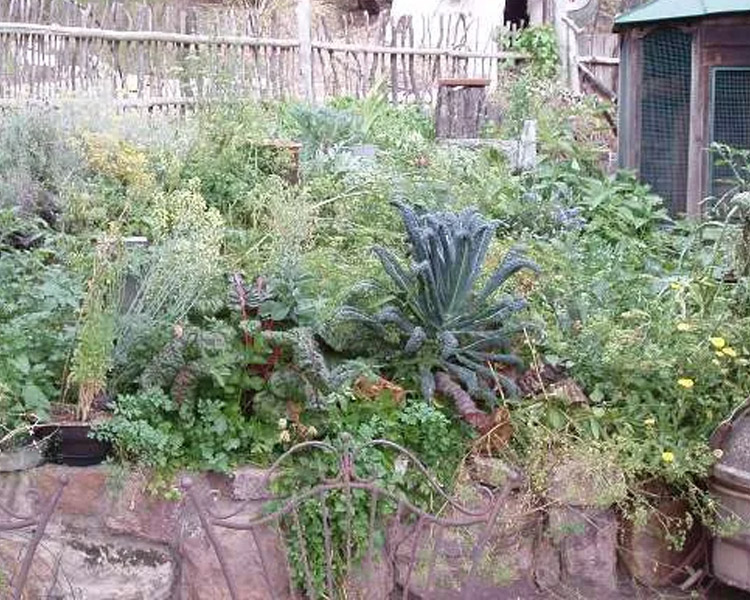 Spring Permabee – Kitchen Garden Bandusia Country Retreat