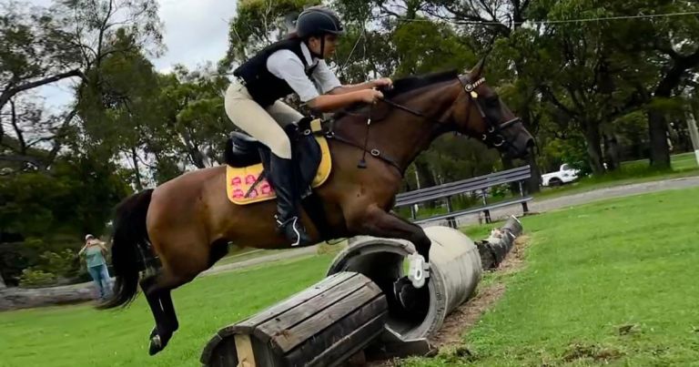 Pony Club turns 60