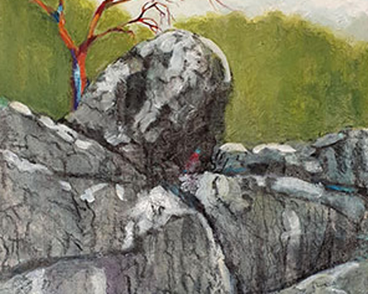 SIGHTLINES: David Collins and Sally Stokes Exhibition