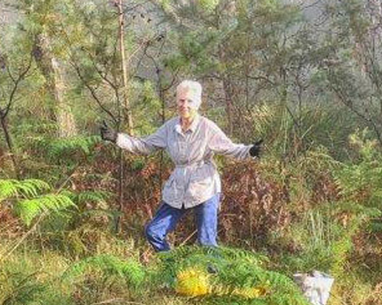 Hornsby Shire Council Bushcode Workshop