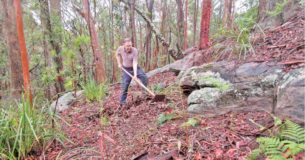 Bigger Better Bushfires