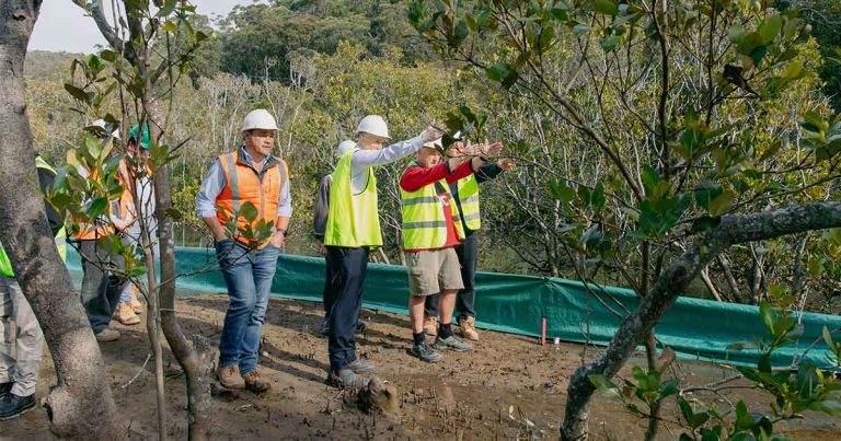 Brooklyn's Kangaroo Point Coardwalk Construction Begins