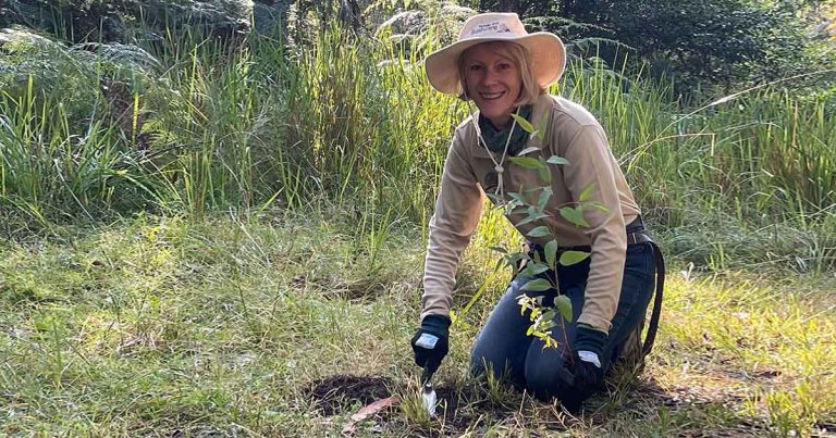 Become a Bushcare Volunteer in the Hornsby Shire