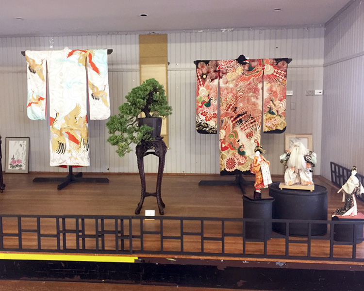 Orange Blossom Bonsai Display