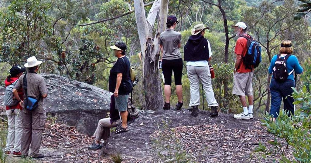 Hidden in the Hills: Bushwalking