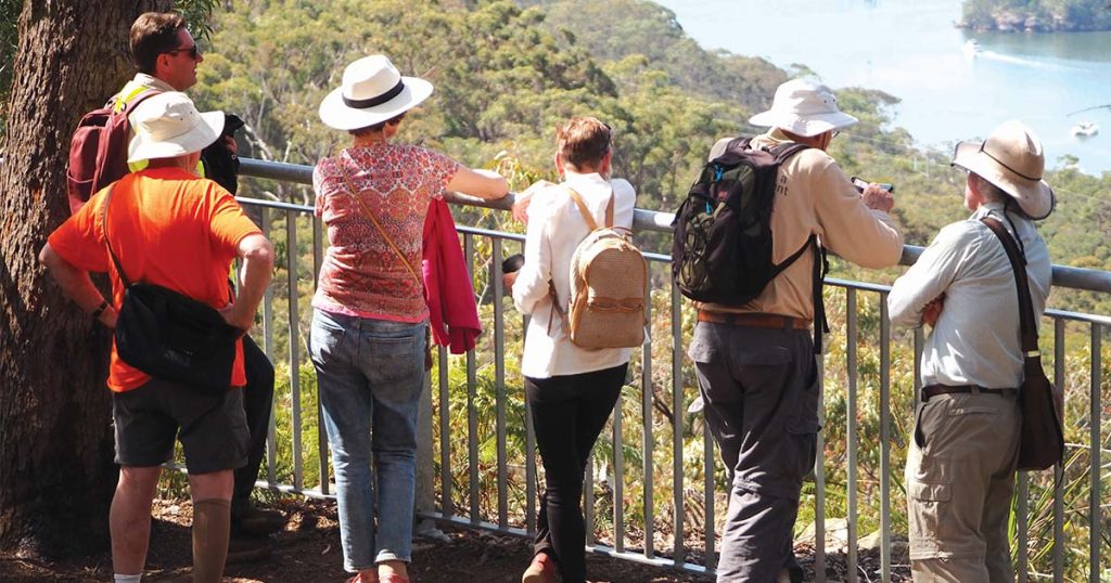 Hornsby Shire Council’s Free Guided Bushwalks