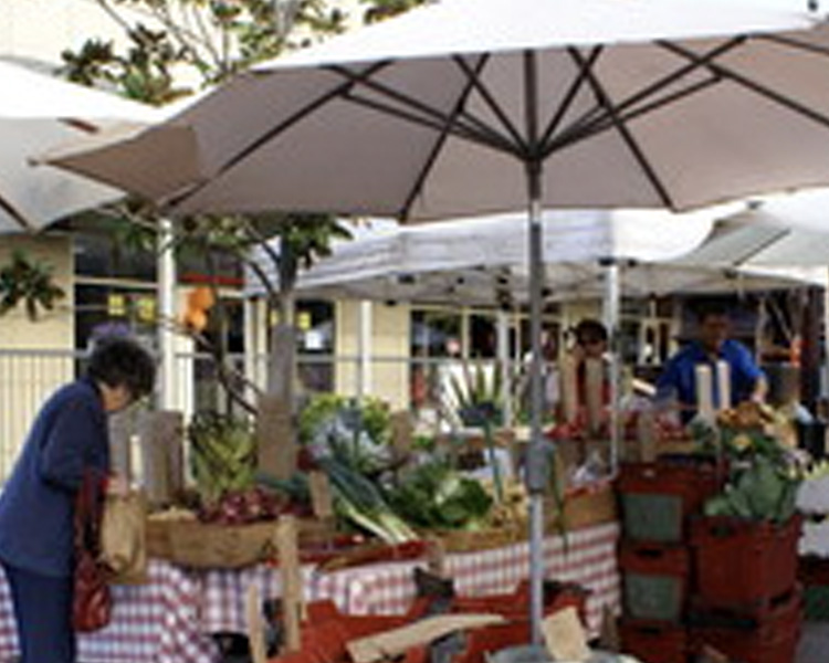 Windsor Mall Sunday Markets