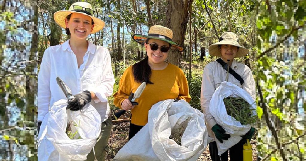 New-Bub Bushcare: Hornsby Shire's Innovative Parent Group