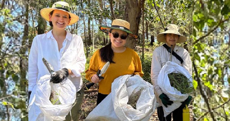 New-Bub Bushcare: Hornsby Shire's Innovative Parent Group