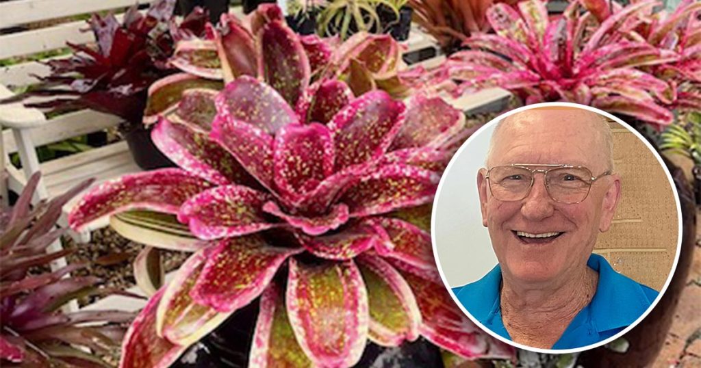 Bromeliad Society of Australia: Watering System for Bromeliads