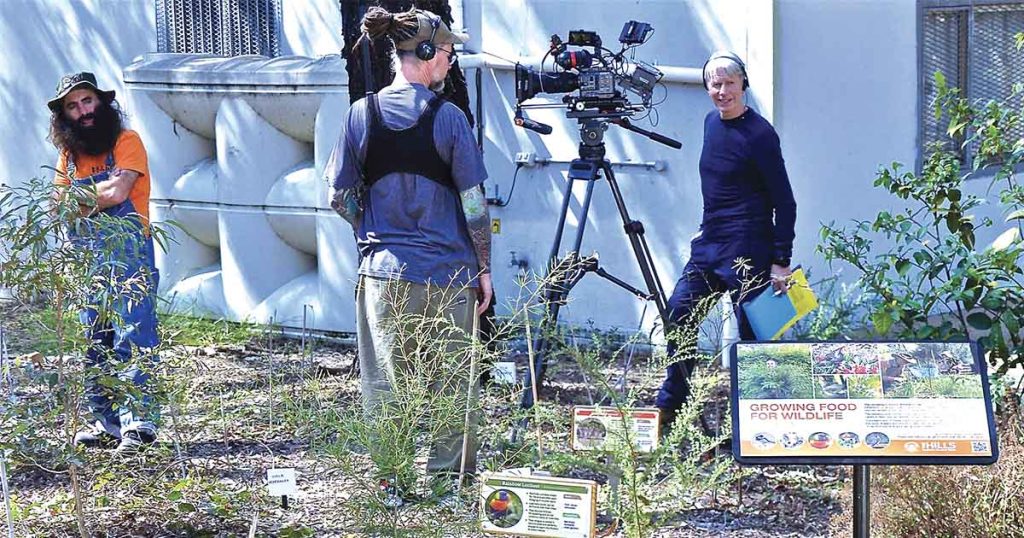 Growing Food for Wildlife Project