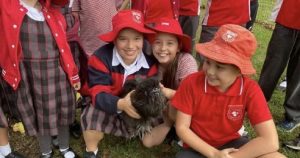 Rooster Avocado Takes 1st Place at Hawkesbury Show