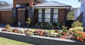 Sydney Hills Garden Competition 2025 now open