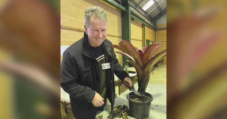 Bromeliad care tips by Mark Belot at BSA meeting