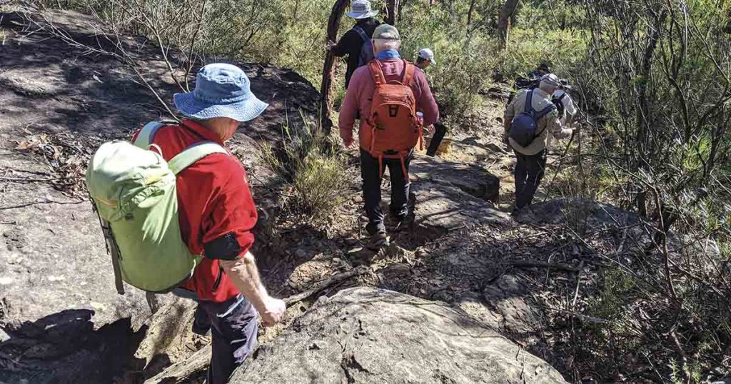 Sydney Bushwalking Group for Active Retirees