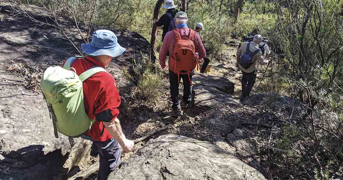 Walk with the Wanderers – Bushwalking in Sydney and Surrounds