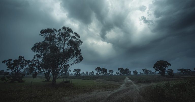 Cold Front and Damaging Winds Warning in NSW