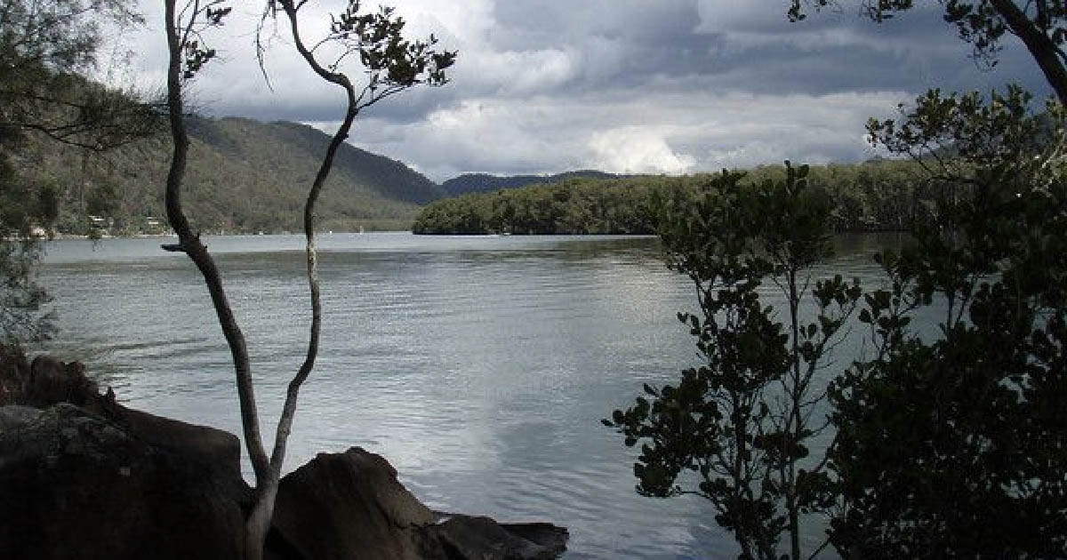 Hawkesbury River's Health Decline Sparks Community Action