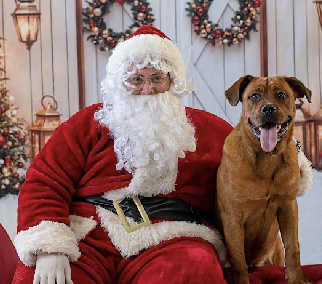 Hawkesbury City Council