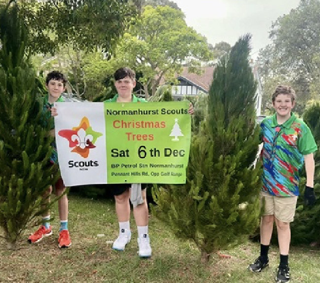 Normanhurst Scouts Fresh Christmas Tree Sales