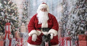 Santa Paws Returns to Hawkesbury for Festive Photoshoots