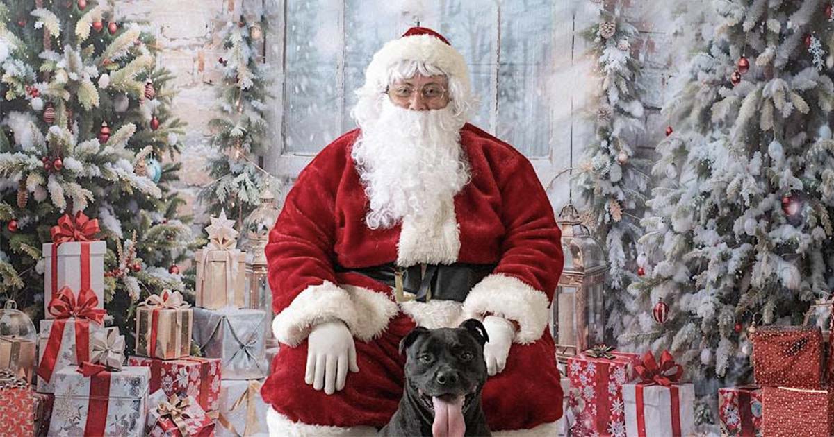Paws Strike a Pose with Santa Claus