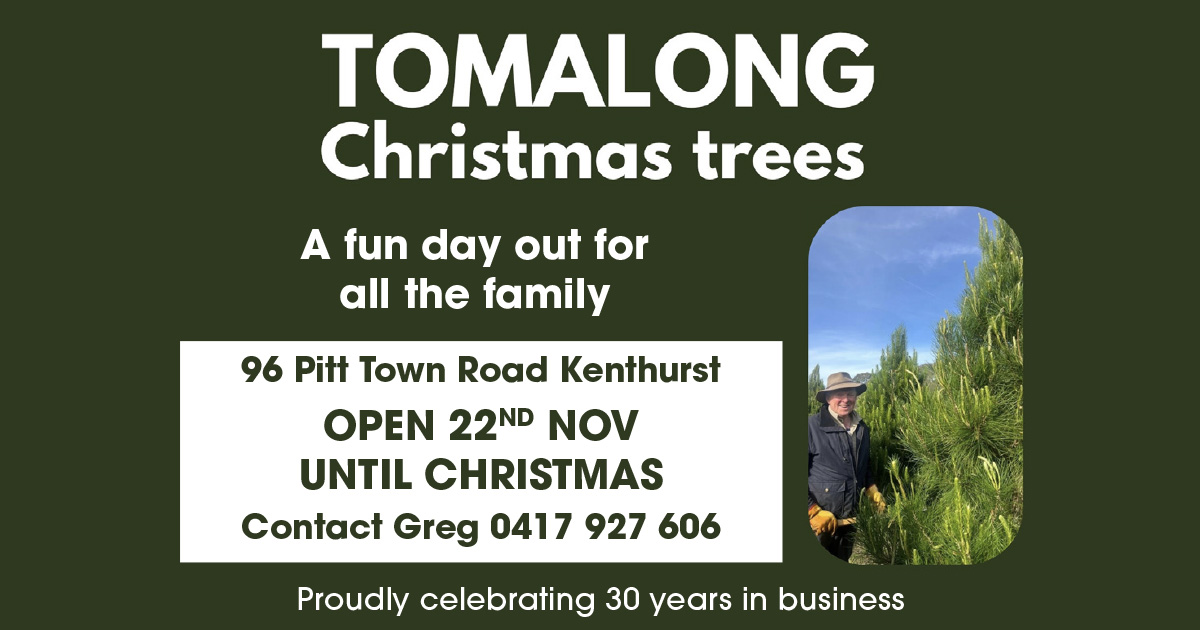 Tomalong Christmas Tree Farm Celebrates 30 Years