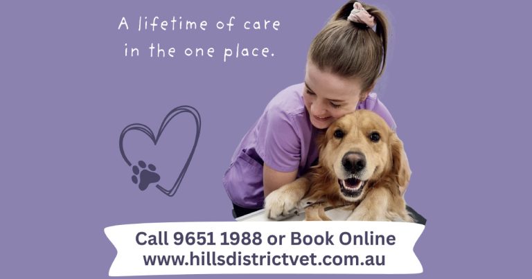 Hills District Veterinary Hospital