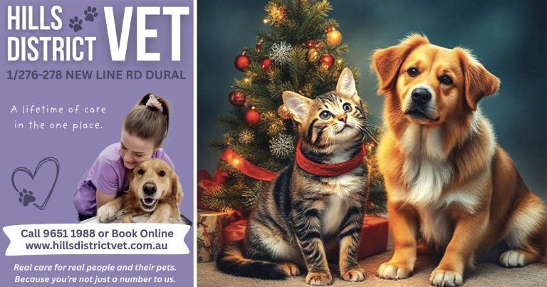 Pet Safety Tips for the Festive Season