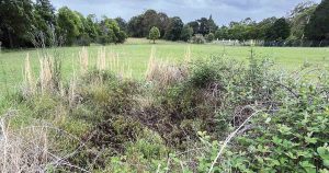 Fagan Park – The Brick Kiln Site