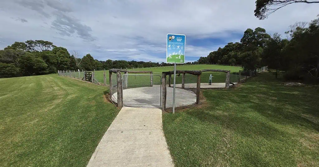 Scenic park with a small fenced viewing platform and lush green surroundings in Dooral Roundup.