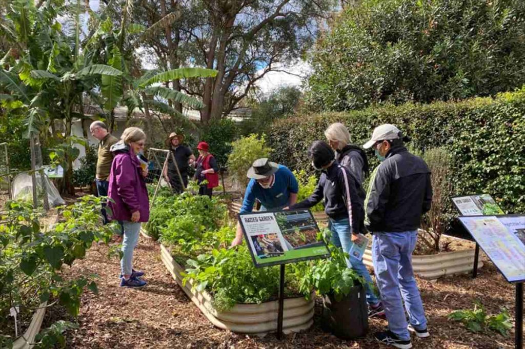 Growing Food for Wildlife in Annangrove