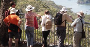 Free Guided Bushwalks in Hornsby Shire This Autumn