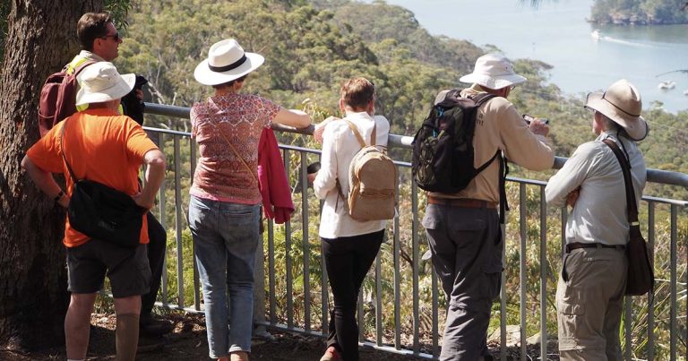 Free Guided Bushwalks in Hornsby Shire This Autumn