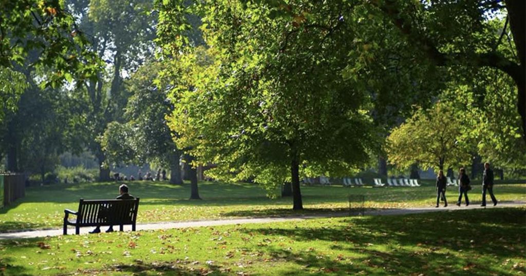 McQuade Park's 2026 Master Plan for the Windsor Community